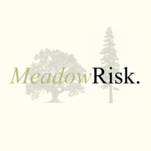 MeadowRisk Insurance Services LLC's logo