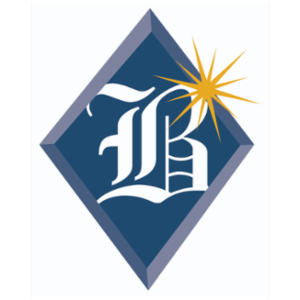 Borg Insurance Agency & Associates's logo