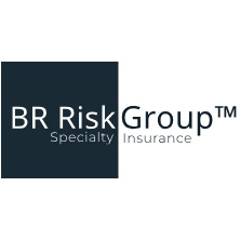 BR Risk Group Specialty Insurance's logo